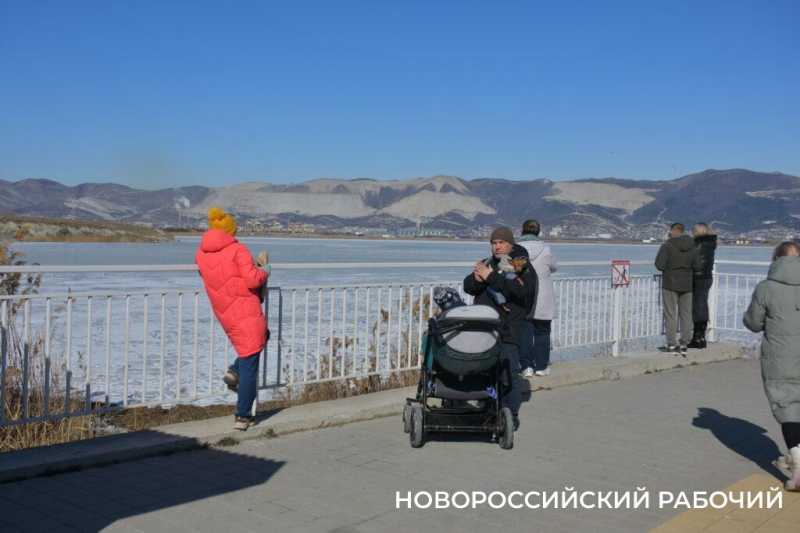 «Море в Новороссийске НЕ ЗАМЕРЗЛО»! Местные смеются над фейками, которые завирусились в сети