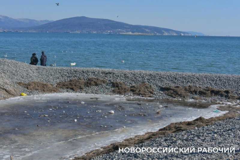 «Море в Новороссийске НЕ ЗАМЕРЗЛО»! Местные смеются над фейками, которые завирусились в сети
