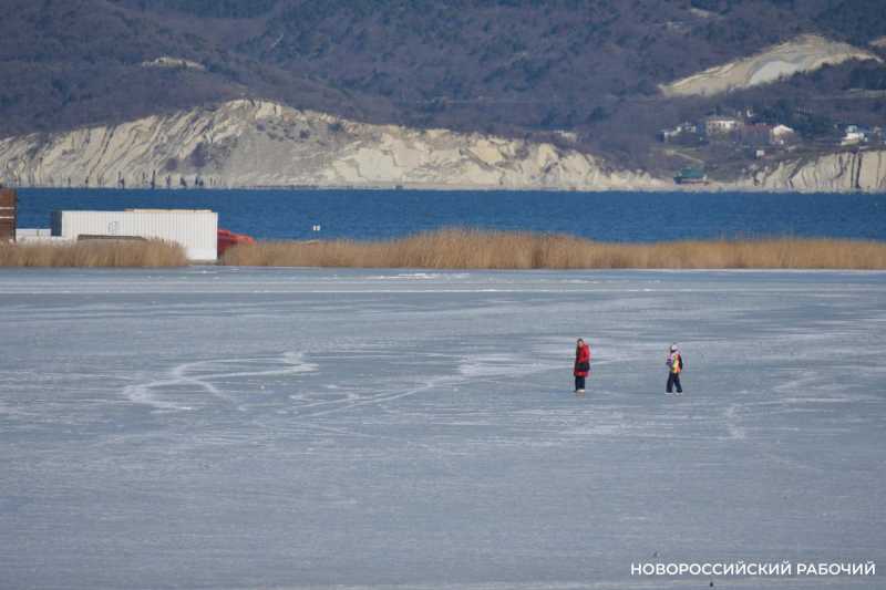 «Море в Новороссийске НЕ ЗАМЕРЗЛО»! Местные смеются над фейками, которые завирусились в сети