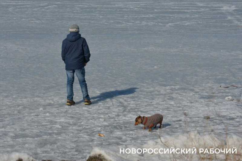 «Море в Новороссийске НЕ ЗАМЕРЗЛО»! Местные смеются над фейками, которые завирусились в сети