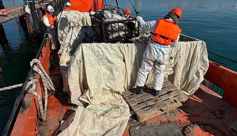 Морспасслужба начала применять новый механизированный способ сбора мазута со дна Черного моря 