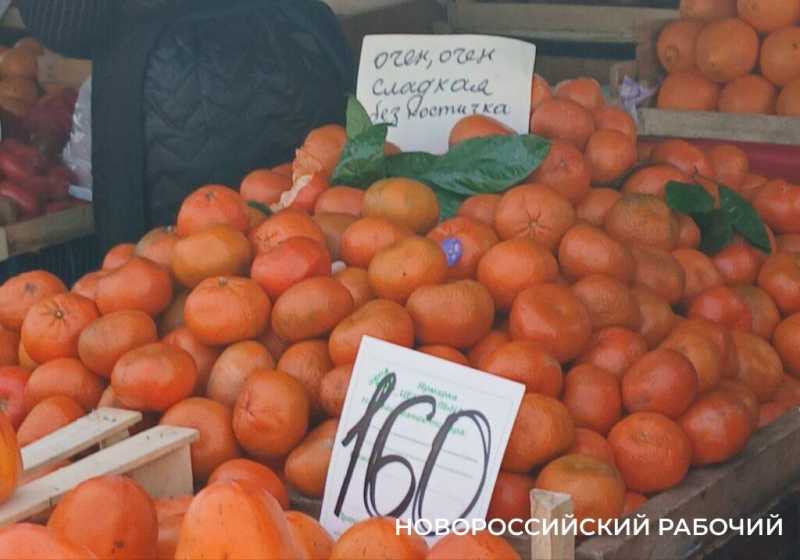На рынке Новороссийска на ура идет «сладкий бычок» и «очен сладкая без костички» мандарины
