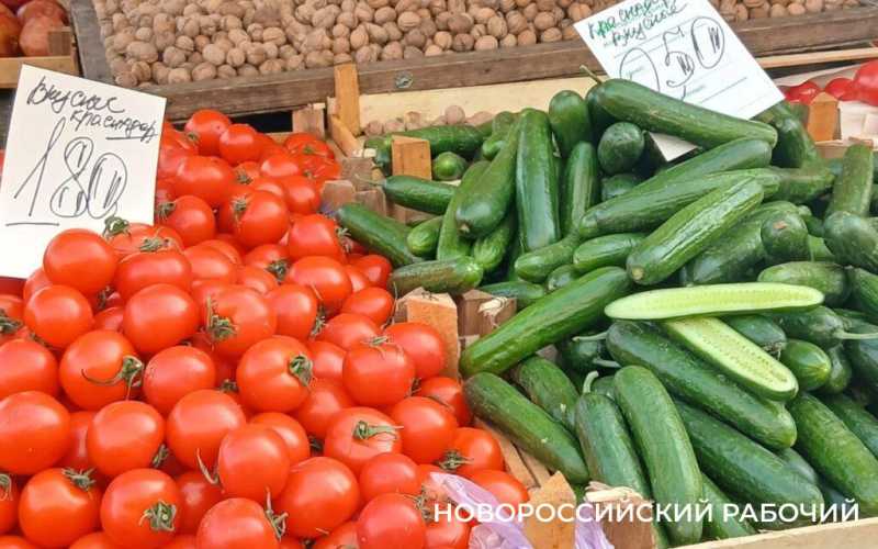На рынке Новороссийска на ура идет «сладкий бычок» и «очен сладкая без костички» мандарины