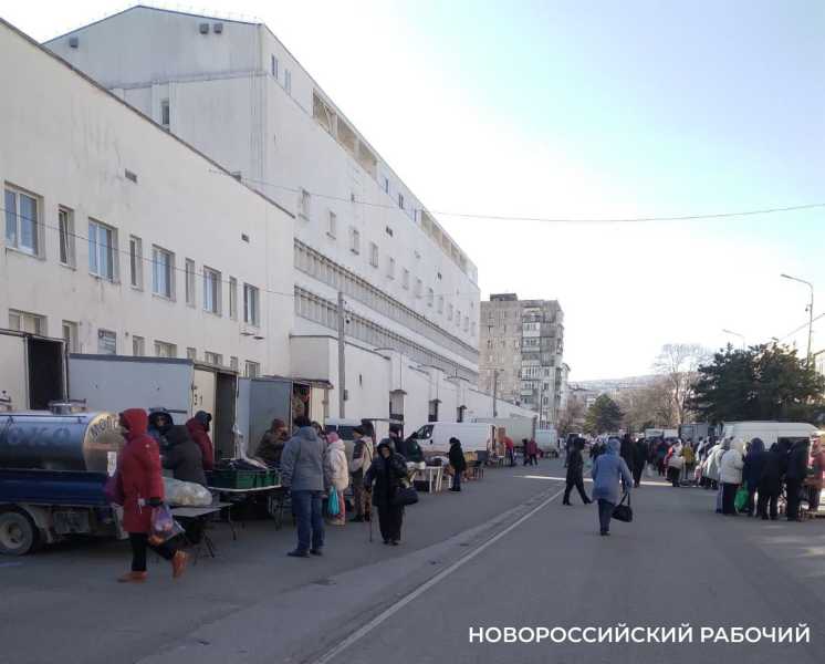 Норд-ост не сорвал субботнюю ярмарку в Новороссийске