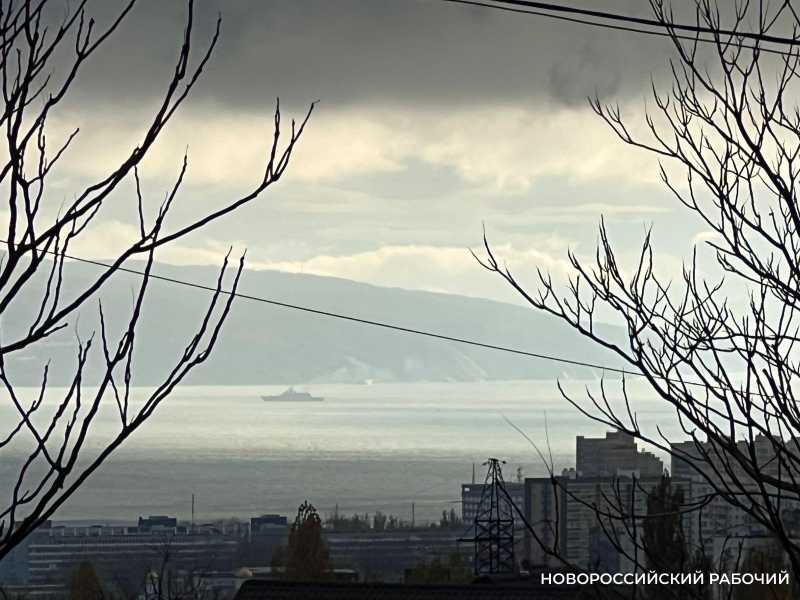 О первой «Бескозырке», кормлении птиц и свободной любви: советы дня от «НР»