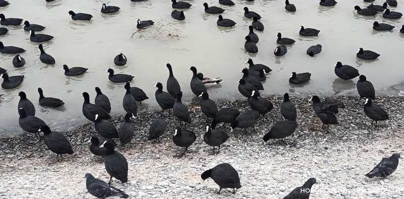 О женском счастье, кинофестивале и электрификации всей страны: советы дня от &laquo;НР&raquo;