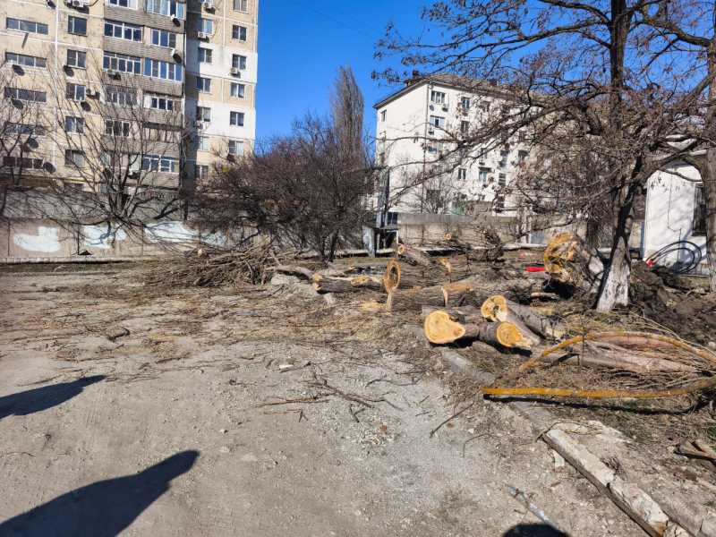 Обрывы проводов, проблемы со светом и отоплением. Хроника новороссийского норд-оста
