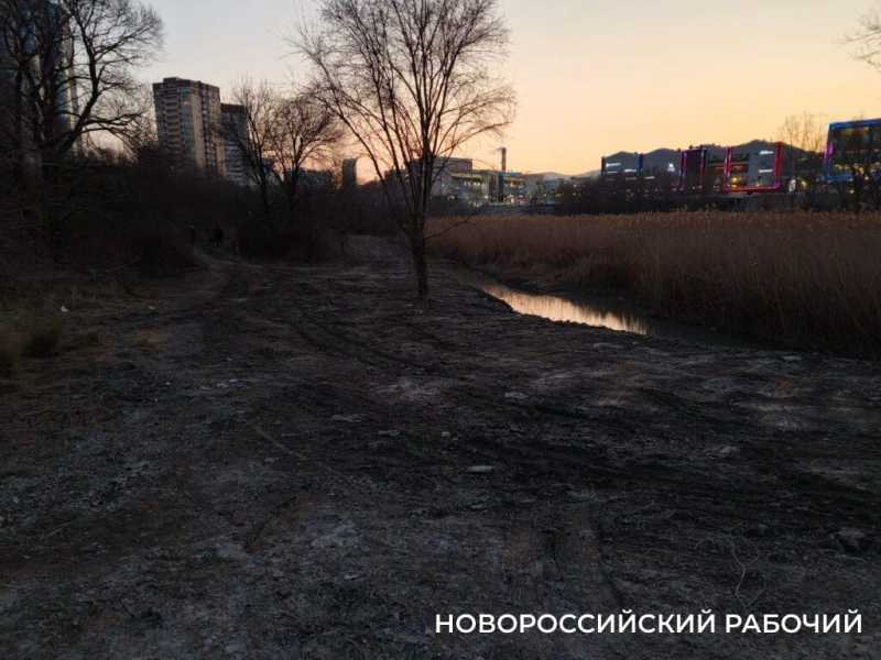 «Очистка прудов идет варварскими методами!» Новороссийские экологи остановили работы в охраняемой зоне