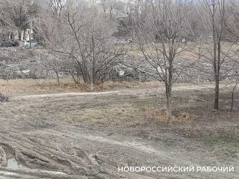«Очистка прудов идет варварскими методами!» Новороссийские экологи остановили работы в охраняемой зоне