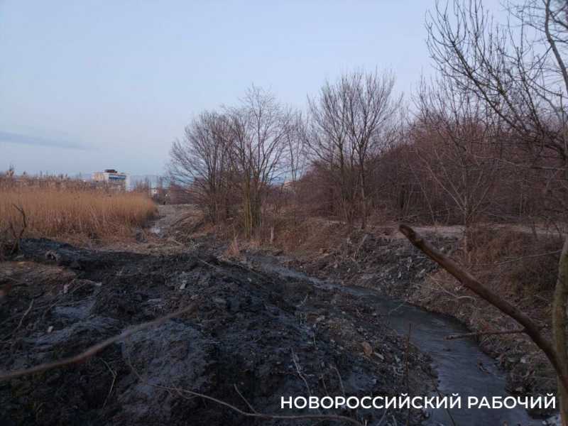«Очистка прудов идет варварскими методами!» Новороссийские экологи остановили работы в охраняемой зоне