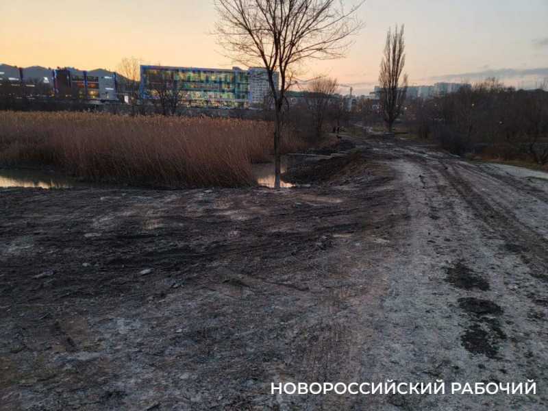 «Очистка прудов идет варварскими методами!» Новороссийские экологи остановили работы в охраняемой зоне