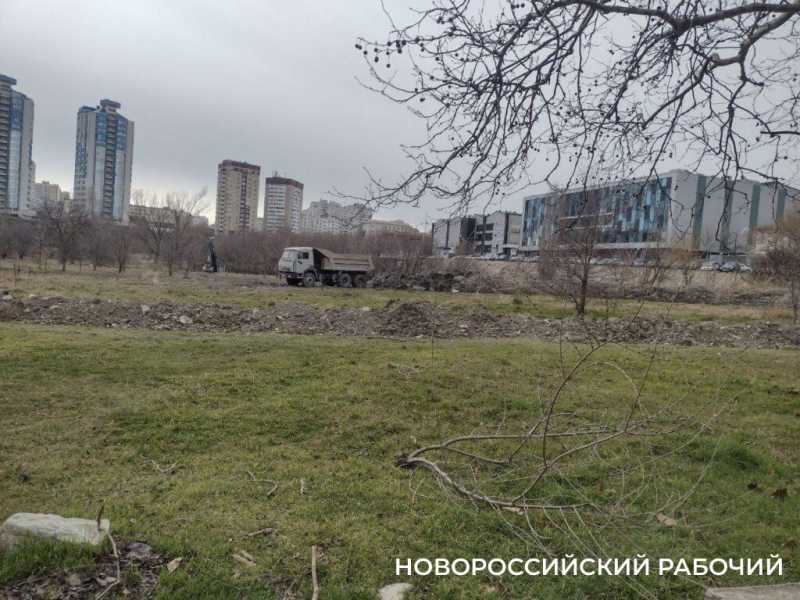 «Очистка прудов идет варварскими методами!» Новороссийские экологи остановили работы в охраняемой зоне