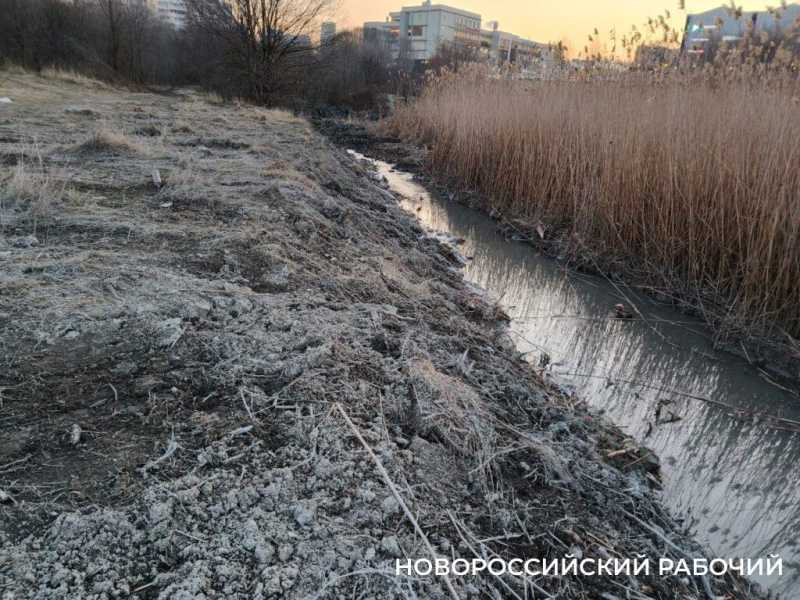 «Очистка прудов идет варварскими методами!» Новороссийские экологи остановили работы в охраняемой зоне