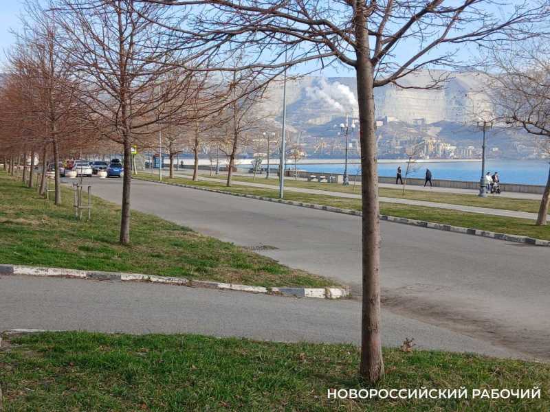 Погода в Новороссийске в январе — средняя температура + 7,6 градусов. Аномалия!