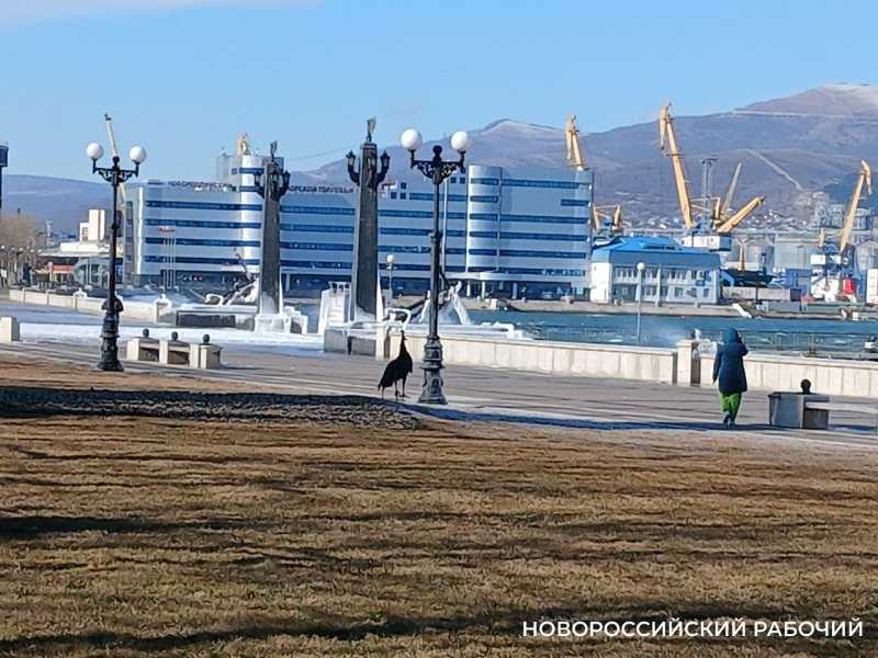 Порт Новороссийск попал в 16-й пакет санкций Евросоюза