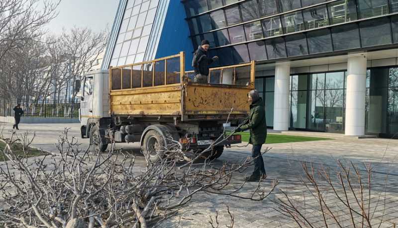 Последствия сильного ветра в Новороссийске устраняют бригады МБУ «Центр озеленения и благоустройства»