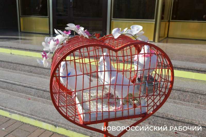 Сегодня – День влюбленных. В ЗАГСе Новороссийска – аншлаг!