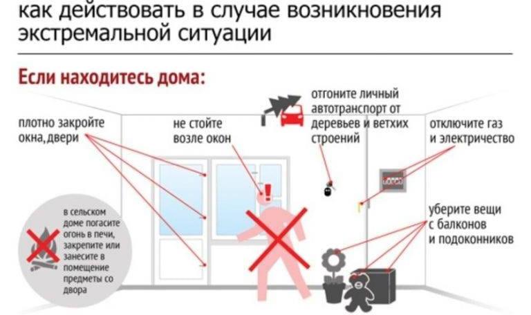 Сильный ветер: как действовать в случае возникновения экстремальной ситуации 