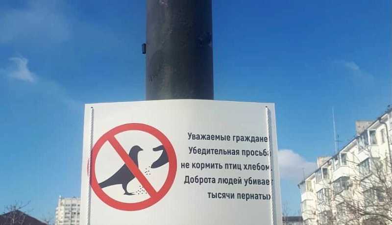 Специалисты напоминают: зимующих в Новороссийске птиц нельзя кормить хлебом