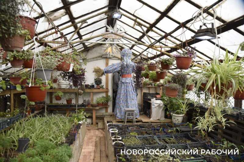 «Такое чучело и жечь жалко!» В Новороссийске все готово к празднованию Масленицы