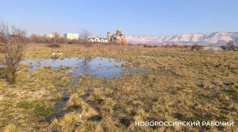 В Новороссийске ликвидировали вонючее озеро  на особо охраняемой территории