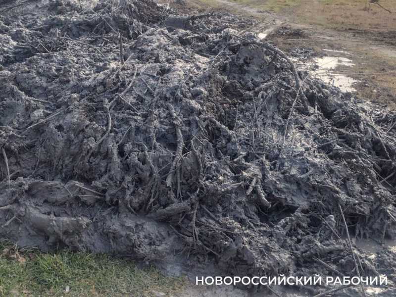 В Новороссийске начали очищать от ила «Южные пруды»