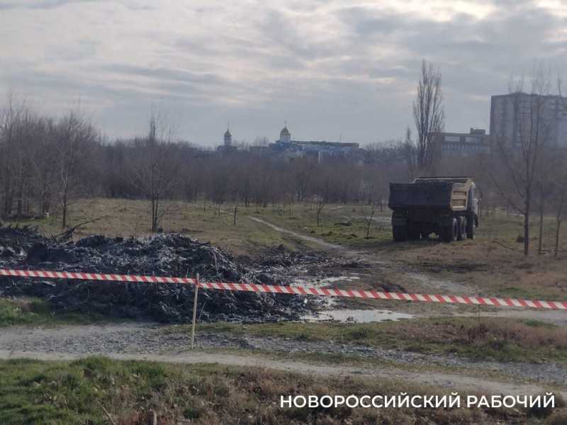 В Новороссийске начали очищать от ила «Южные пруды»