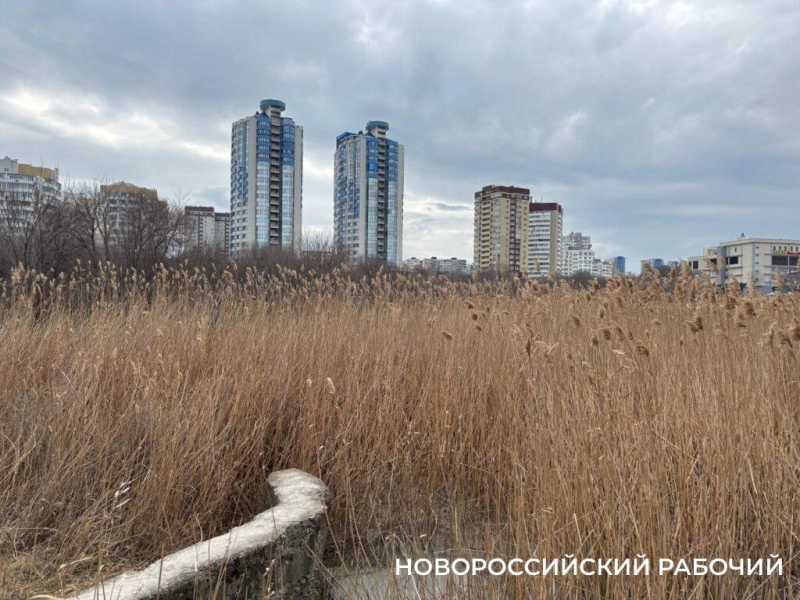 В Новороссийске начали очищать от ила «Южные пруды»