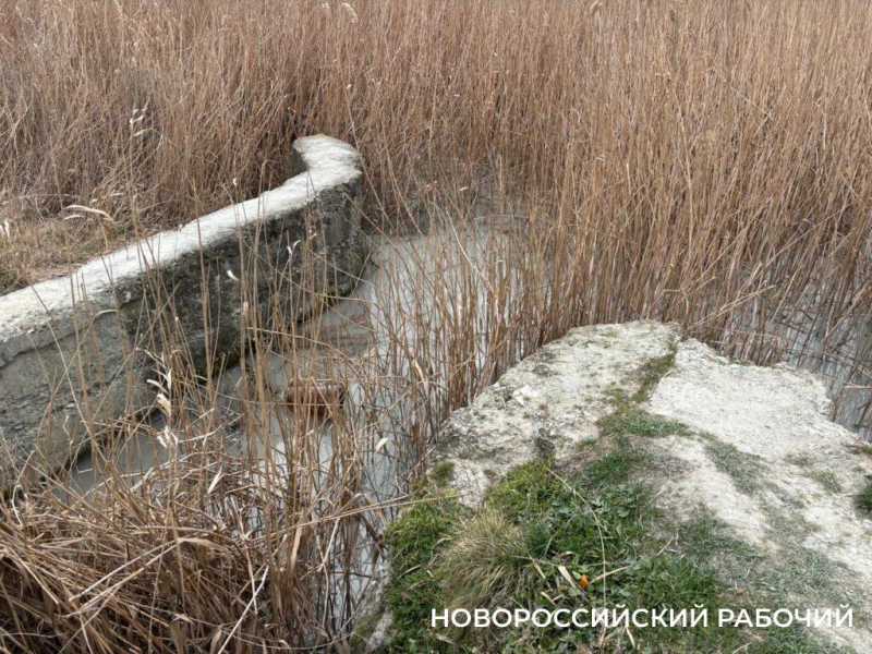 В Новороссийске начали очищать от ила «Южные пруды»