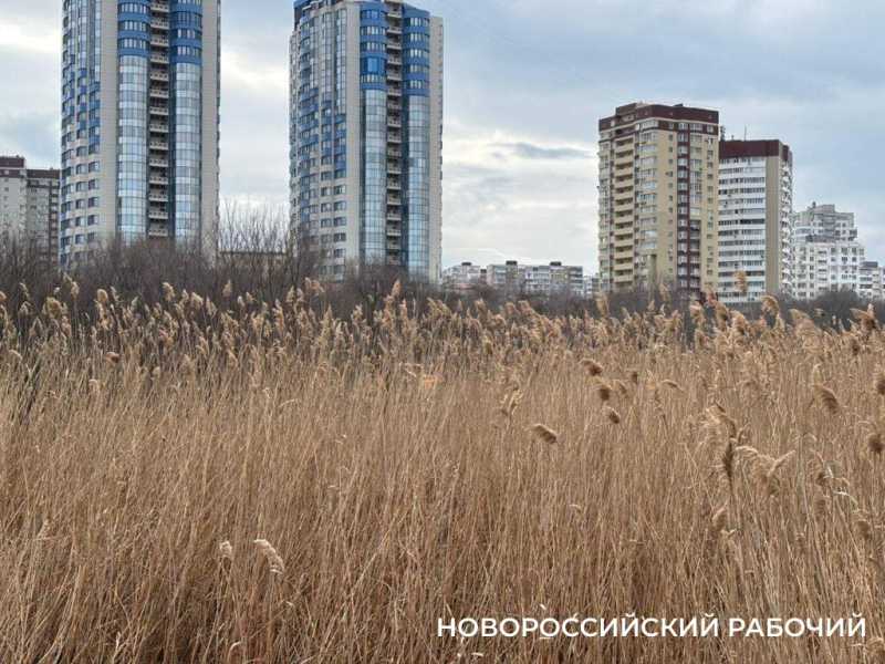 В Новороссийске начали очищать от ила «Южные пруды»