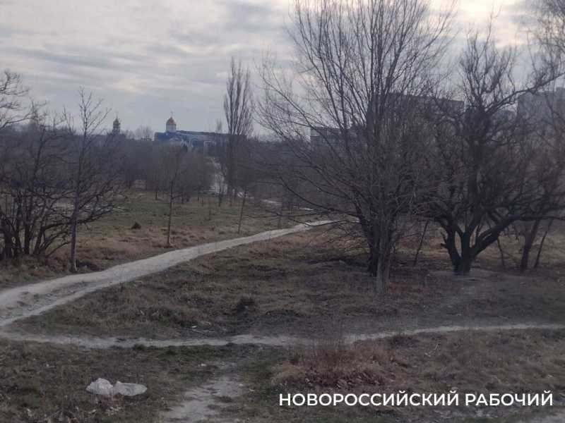 В Новороссийске начали очищать от ила «Южные пруды»