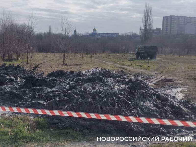 В Новороссийске начали очищать от ила «Южные пруды»