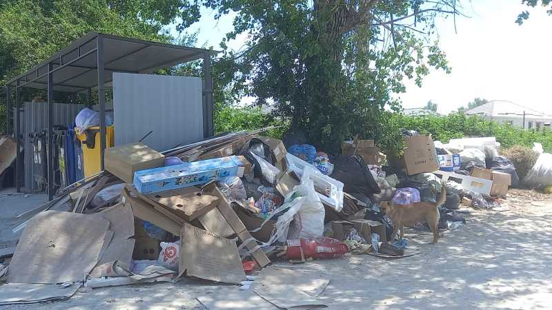 В Новороссийске начали штрафовать за мусор, оставленный рядом с переполненными контейнерами