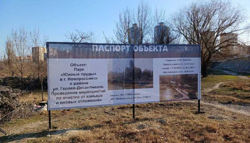 В Новороссийске начались работы по благоустройству территории «Южных прудов»