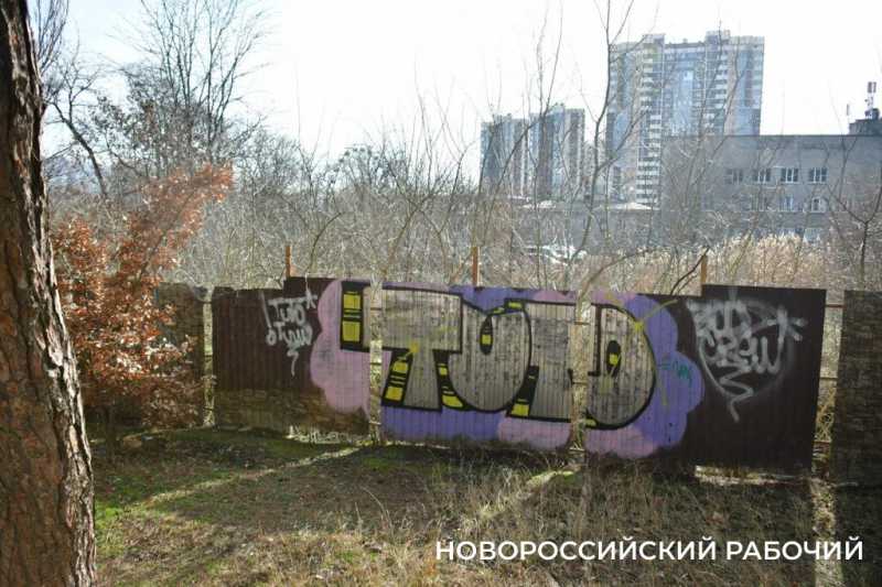 В Новороссийске парку добавили участок земли. Чтобы забрать его под дорогу?