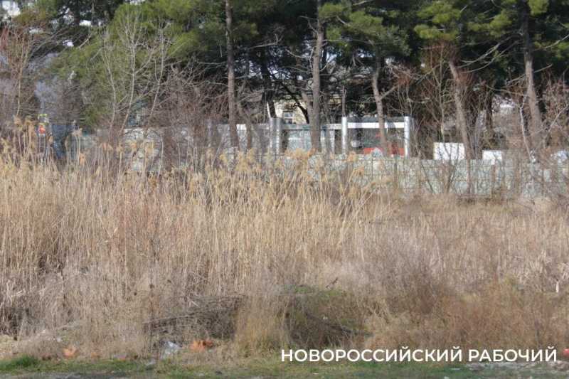 В Новороссийске парку добавили участок земли. Чтобы забрать его под дорогу?
