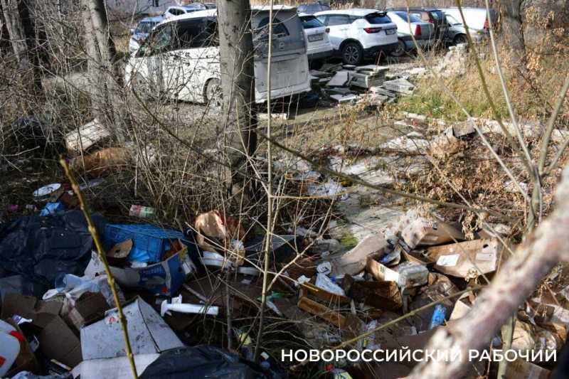 В Новороссийске парку добавили участок земли. Чтобы забрать его под дорогу?