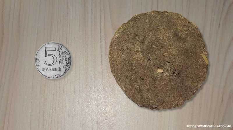 В Новороссийске предлагают мыть посуду&hellip; коровьим навозом из Индии