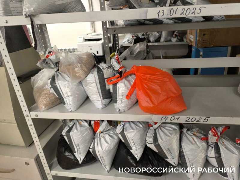 В Новороссийске работает лаборатория, которая знает все секреты съедобного российского экспорта и импорта
