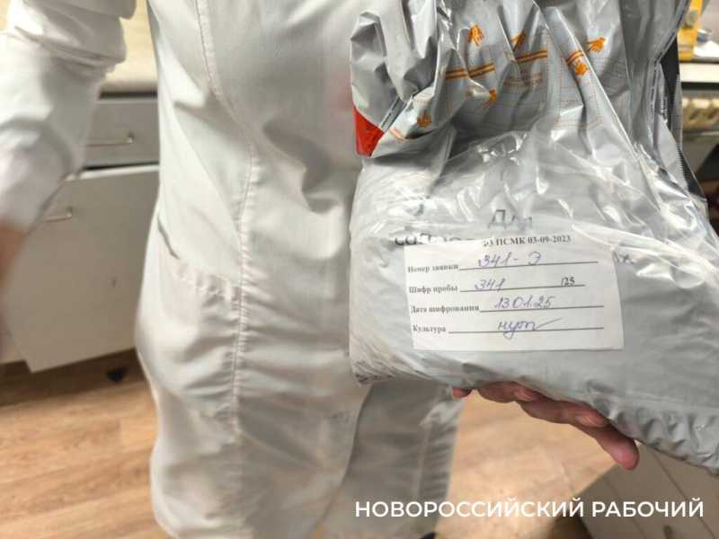 В Новороссийске работает лаборатория, которая знает все секреты съедобного российского экспорта и импорта