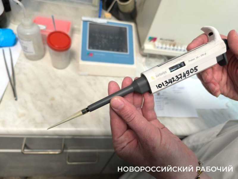 В Новороссийске работает лаборатория, которая знает все секреты съедобного российского экспорта и импорта