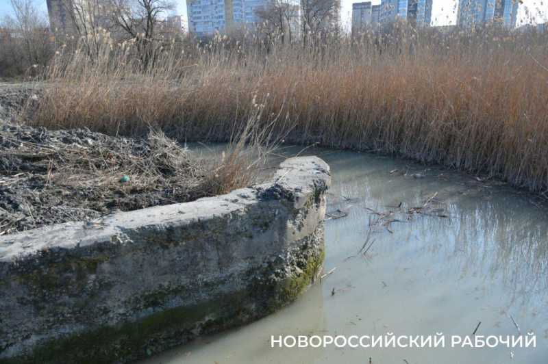 В Новороссийске жителей попросили не ходить по «Южным прудам»