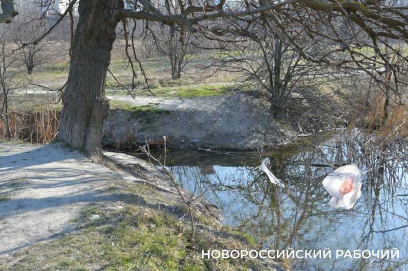 В Новороссийске жителей попросили не ходить по «Южным прудам»