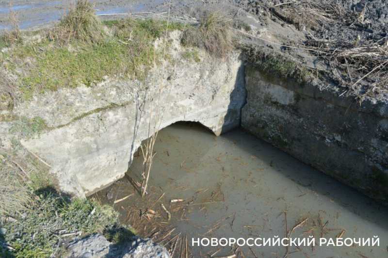 В Новороссийске жителей попросили не ходить по «Южным прудам»