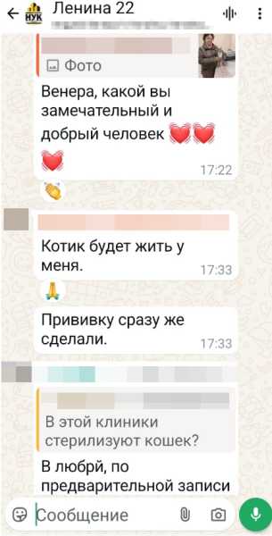 Воспитатель из Новороссийска спасла Летчика, выпавшего с балкона