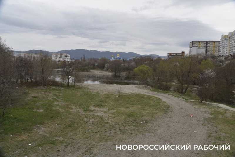 Аллея Дружбы, посаженная в Новороссийске 6 лет назад, может погибнуть – ее завалили илом
