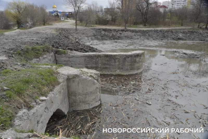 Аллея Дружбы, посаженная в Новороссийске 6 лет назад, может погибнуть – ее завалили илом