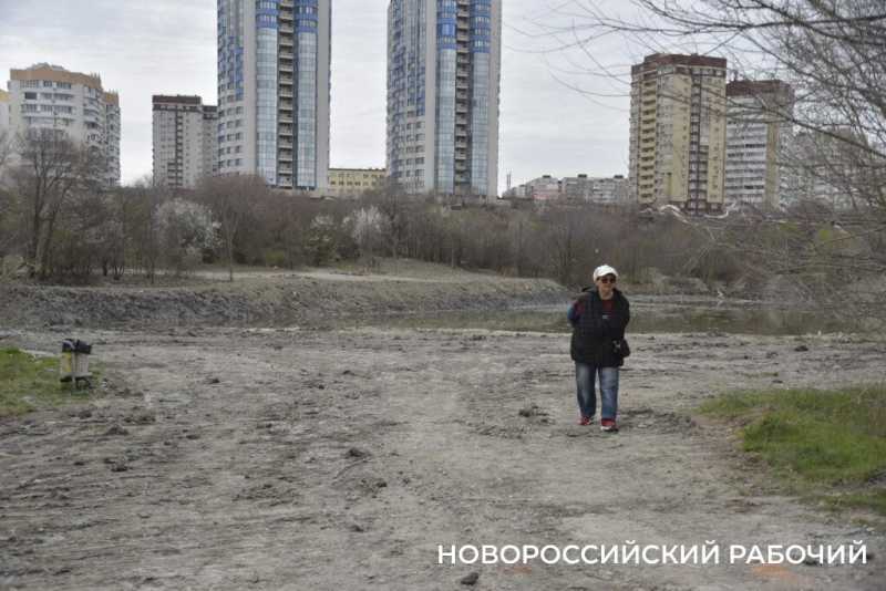 Аллея Дружбы, посаженная в Новороссийске 6 лет назад, может погибнуть – ее завалили илом