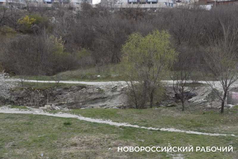 Аллея Дружбы, посаженная в Новороссийске 6 лет назад, может погибнуть – ее завалили илом
