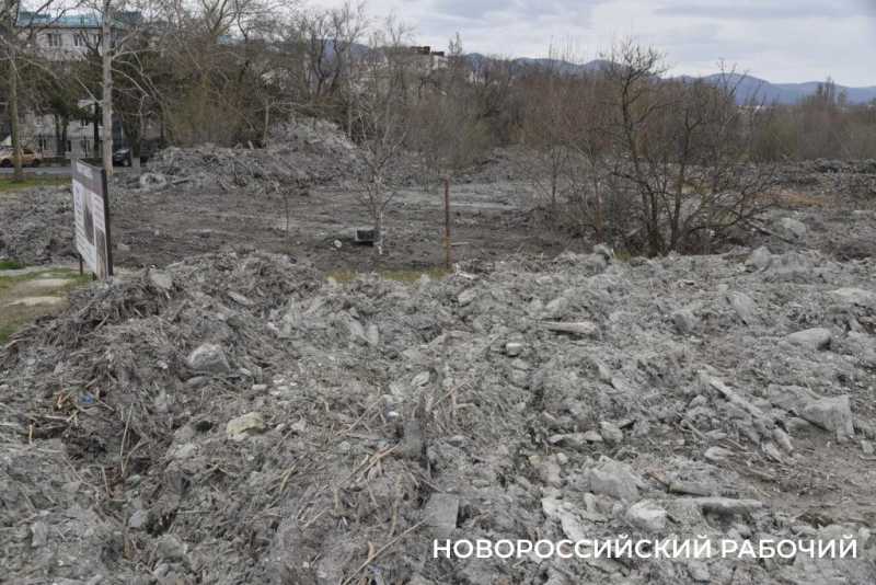 Аллея Дружбы, посаженная в Новороссийске 6 лет назад, может погибнуть – ее завалили илом